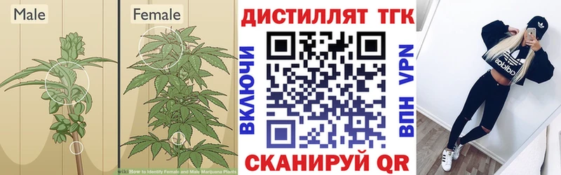 Дистиллят ТГК вейп с тгк  даркнет наркотические препараты  Севск 